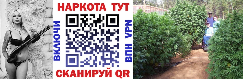 Купить Калининец COCAIN  Альфа ПВП  Конопля  ГАШ 
