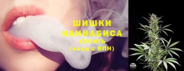 ГАЛЛЮЦИНОГЕННЫЕ ГРИБЫ Баксан