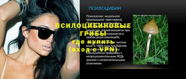 ГАЛЛЮЦИНОГЕННЫЕ ГРИБЫ Баксан