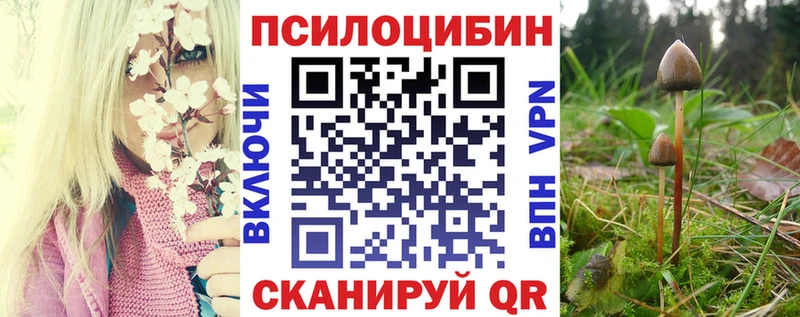 Псилоцибиновые грибы прущие грибы  Калининец 